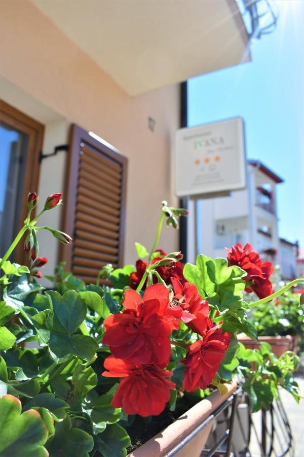 Apartments & Rooms Ivana Rovinj Szoba fotó