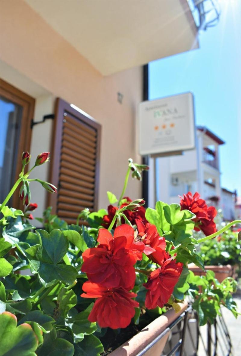 Apartments & Rooms Ivana Rovinj Szoba fotó